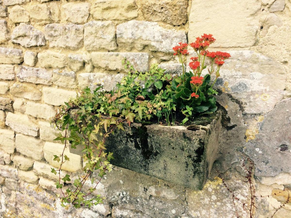 バイユー Le Manoir Des Doyens Bed & Breakfast エクステリア 写真